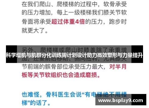 科学增肌与肌群分化训练周计划设计助力高效塑形与力量提升